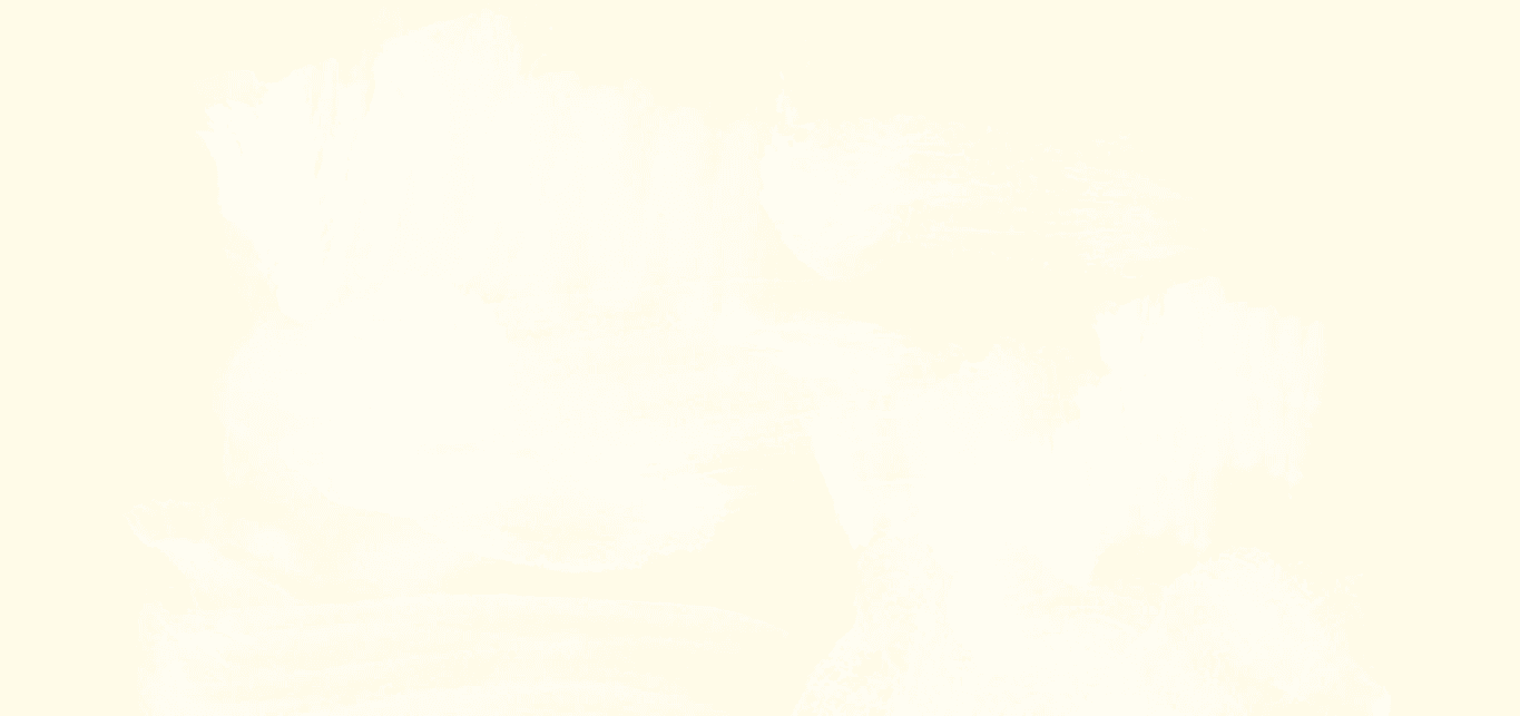 Background Pattern